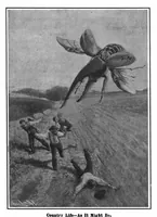 Picture 8 of 17 from Scientific American, Vol. 97, No. 13 (1907) (1907), leaf 8