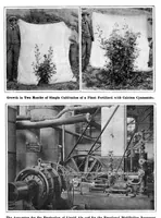 Picture 1 of 15 from Scientific American, Vol. 97, No. 15 (1907) (1907), leaf 3