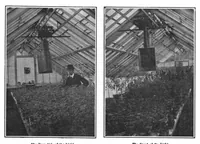 Picture 7 of 11 from Scientific American, Vol. 97, No. 16 (1907) (1907), leaf 10