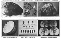 Picture 8 of 15 from Scientific American, Vol. 97, No. 22 (1907) (1907), leaf 8