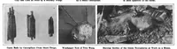 Picture 9 of 15 from Scientific American, Vol. 97, No. 22 (1907) (1907), leaf 8