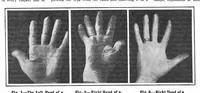 Picture 16 of 27 from Scientific American, Vol. 97, No. 26 (1907) (1907), leaf 9