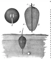 An illustration from Scientific American, Vol. 98, No. 8 (February 22, 1908) (1908)