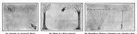 Picture 3 of 30 from Scientific American, Vol. 98, No. 9 (1908) (1908), leaf 6
