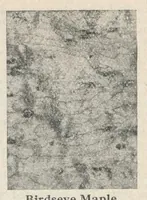Picture 8 of 10 from The Seng book : 1930 annual / published by the Seng Company. (1930), leaf 85