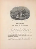 Picture 1 of 2 from The Silurian system, founded on geological researches in the counties of Salop, Hereford, Radnor, Montgomery, Caermarthen, Brecon, Pembroke, Monmouth, Gloucester, Worcester, and Stafford : with descriptions of the coalfields and overlying formations (1839), leaf 322
