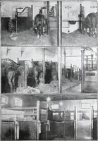 Picture 272 of 547 from Specification data 1914 : Grouped Catalogue of Building Trades in One Volume : Indexed According to Trades for Building Construction (1914), leaf 226