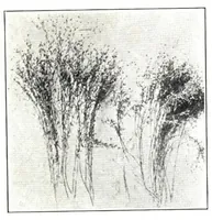 An illustration from The materials of paint manufacture. (1910)