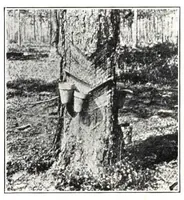 Picture 7 of 19 from The materials of paint manufacture. (1910), leaf 23