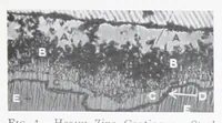 Picture 5 of 13 from The microstructure of zinc coatings / by W.H. Finkeldey. (1927), leaf 8