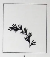 Picture 7 of 16 from The mutochrome for the production of colour designs. (1927), leaf 11