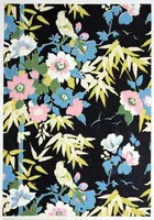Picture 10 of 16 from The mutochrome for the production of colour designs. (1927), leaf 14