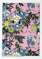 Picture 12 of 16 from The mutochrome for the production of colour designs. (1927), leaf 15