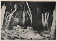Picture 11 of 11 from The painter's eagle: volume 12, number 2. (1930), leaf 23