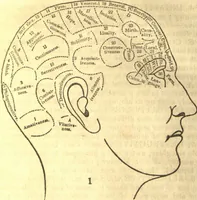 An illustration from The phrenological characters and talents of Henry Clay, Daniel Webster, John Quincy Adams, Wlliam Henry Harrison, and Andrew Jackson : as given by the most distinguished phrenologists in the United States, also notes on the same, with a brief analysis of the fundamental powers of the human mind as manifested through the brain (1844)