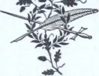 Picture 10 of 13 from The Standard Underground Cable Company manufacturers of telegraph, telephone and electric light cables ... (1884), leaf 16
