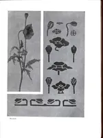 Picture 6 of 17 from The use of the plant in decorative designs. (1912), leaf 18