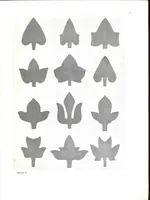 Picture 1 of 17 from The use of the plant in decorative designs. (1912), leaf 4