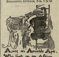Picture 12 of 12 from J. Theobald and Company's extra special illustrated catalogue of magic lanterns, slides and apparatus (From the smallest Toy Lanterns and Slides to the most elaborate Professional Apparatus (c. 1900) (1900), leaf 213