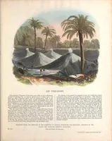 Picture 5 of 6 from Thirty plates illustrative of natural phenomena, etc. : with a short description annexed to each plate (1846), leaf 41