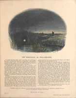 Picture 6 of 6 from Thirty plates illustrative of natural phenomena, etc. : with a short description annexed to each plate (1846), leaf 55