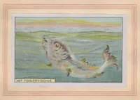 Picture 4 of 9 from Toovervischje (1922), leaf 12