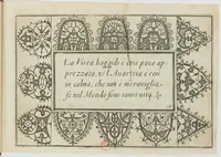 An illustration from Ghirlanda di sei vaghi fiori scielti da piu famosi giardini d'Italia : belle lettere, dotte sententie, novi merli, moderne mansioni, leggiadri lavori, usati numeri : raccolti da Pietro Paolo Tozzi (1616)