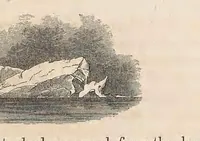 An illustration from The U.S. Grinnell expedition in search of Sir John Franklin. A personal narrative (1854)
