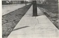 Picture 18 of 22 from Portland cement sidewalk construction (1909), leaf 48
