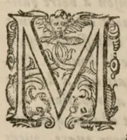 An illustration from V. Livre des libertez d'André de Rosiers sieur de Beaulieu. (1654)