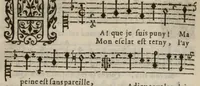 An illustration from VII. Livre des libertez d'André de Rosiers sieur de Beaulieu. (1657)
