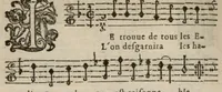 An illustration from VII. Livre des libertez d'André de Rosiers sieur de Beaulieu. (1657)
