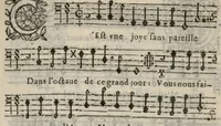 An illustration from VII. Livre des libertez d'André de Rosiers sieur de Beaulieu. (1657)