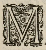 An illustration from VII. Livre des libertez d'André de Rosiers sieur de Beaulieu. (1657)