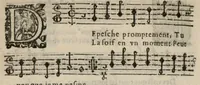 An illustration from VIII. Livre des libertez d'André de Rosiers sieur de Beaulieu. (1658)