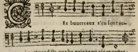 An illustration from VIII. Livre des libertez d'André de Rosiers sieur de Beaulieu. (1658)