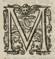 Picture 3 of 35 from VIII. Livre des libertez d'André de Rosiers sieur de Beaulieu. (1658), leaf 8