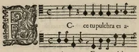 An illustration from Aeternae Henrici magni, gallorum, navarrorumque Regis potentissimi, ac Clementissimi memoriae. Et Ludovici justi : eius filii. Gallorum, navarrorumque Regis christianissimi, atque inuictissimi. Nicolaus Formé, regiae musicae praefectus. Missam hanc duobus choris ac quatuor voc. compositam, vovet et consecrat. Primus chorus. Bassus. (1638)