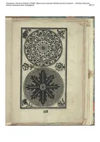 An illustration from Opera noua uniuersal intitulata corona di racammi: Doue le venerande donnefanciulle trouaran[n]o di varie opere p[er] fare colari di camisiolatorniamenti di letti e[n]temelle di cuscini boccasini, schufioni, cord[e]lli di piu sorte, et molte opere p[er] reccam[m]atorip[er] dipintorep[er] oreuesi de le quale operevero esempli ciascuno le potra pore in opera seco[n]do el suo bisogno. (1530)