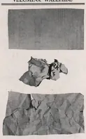 Picture 1 of 4 from Velumina wallhide and its application. (1929), leaf 5