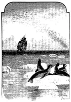 An illustration from Le Sphinx des glaces (1897)