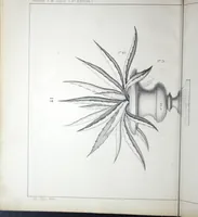 An illustration from Vieille Montagne : album d'objets d'art et d'ornementation architecturale : V.M. 1875. (1875)