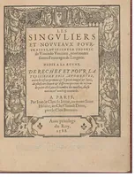 An illustration from Les singvliers et novveavx pourtraicts, du seigneur Federic Vinciolo Venitien, pour toutes sortes d'ouurages de lingerie. Dediela Royne: Derechef et povr la cinquiesme fois augmentez, outre le reseau premierle point couppé lacis de plusieurs beaux differents pourtraits de reseau de point compté, auec le nombre des mailles, choses non encore veuë ny inuentee (1588)