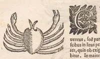 An illustration from Vlyssis Aldrovandi ... De reliquis animalibus exanguibus libri quatuor, post mortem eius editi : nempe de mollibvs, crvstaceis, testaceis et zoophytis (1642)