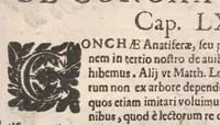 An illustration from Vlyssis Aldrovandi ... De reliquis animalibus exanguibus libri quatuor, post mortem eius editi : nempe de mollibvs, crvstaceis, testaceis et zoophytis (1642)