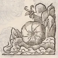 Picture 47 of 54 from Vlyssis Aldrovandi ... De reliquis animalibus exanguibus libri quatuor, post mortem eius editi : nempe de mollibvs, crvstaceis, testaceis et zoophytis (1642), leaf 575
