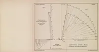 An illustration from Der Vogelflug als Grundlage der Fliegekunst : ein Beitrag zur Systematik der Flugtechnik (1889)