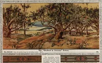 Picture 138 of 141 from Wall paper for every home, 1916 (1916), leaf 219