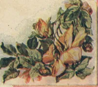 An illustration from Wall papers and cretonnes, 1911 (1911)