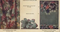 Picture 15 of 34 from Wall papers and cretonnes, 1911 (1911), leaf 6